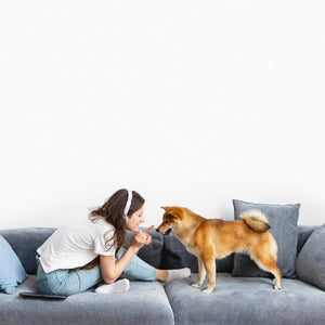 How to Keep Your Home Pet Hair-Free: Practical Tips and a Smart Solution